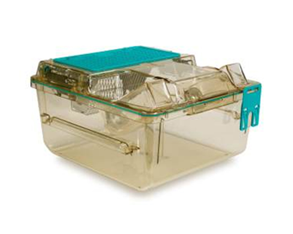 Ventilated Cages (IVC) Rats  ER-1050