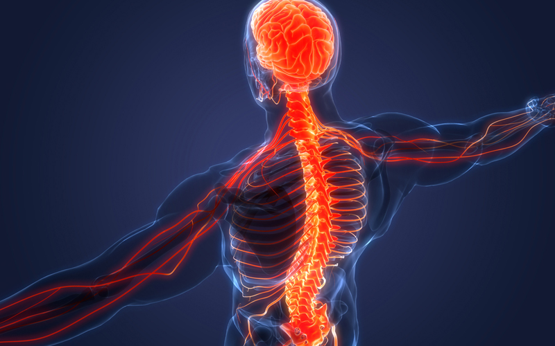 A Unified Ecosystem for Recovery, From Injury to Aesthetics